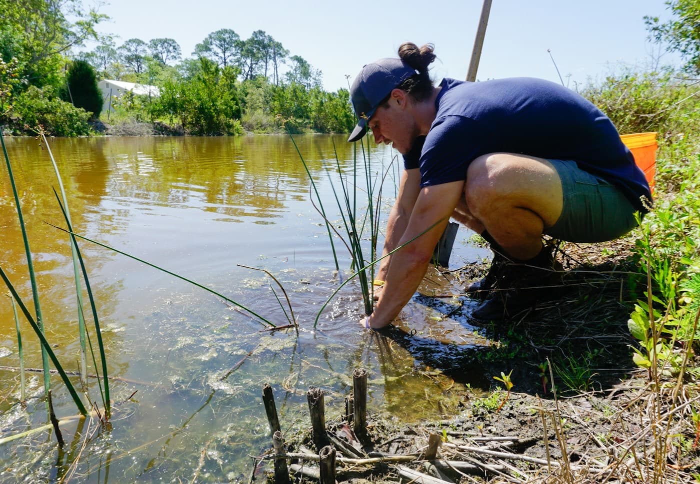 Técnica agachada à beira de um lago coletando uma amostra de água